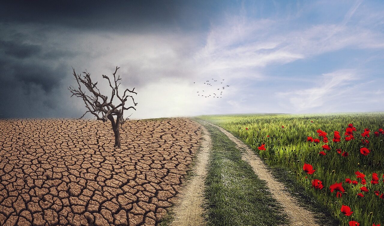 Zohlednění změny klimatu
